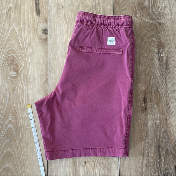 American Eagle Outfitters Lived-in Shorts - Picture 8 of 13